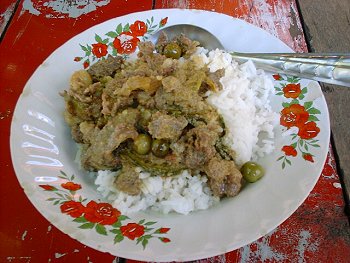 Thai-style Green Curry